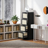 4 Drawer Filing Cabinet with Lock, Boho File Cabinet for A4 Letter Size Files with Decorative Rattan Accents, Black