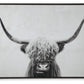 Pancho - Black / White - Wall Art