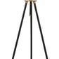 Cashner - Black / Gold Finish - Metal Floor Lamp