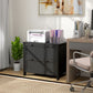 2 Drawer File Cabinet, Lockable Filing Cabinet with Adjustable Hanging Bar for Letter, A4 and Legal Size, Black