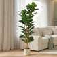 6FT Artificial Fiddle Leaf Fig Tree, Fake Potted Tree with Solid Wood Trunks and Lifelike Leaves for Indoor Decor, Green