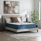 Limited Edition Plush 3.0 - Mattress