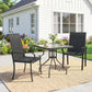 2 Piece PE Rattan Patio Dining Chairs with Steel Frame, for Garden, Backyard, Pool Side, Porch, Black
