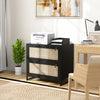 2-Drawer Filing Cabinet with Lock, Rattan File Cabinet with Adjustable Hanging Bar, Black