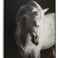 Archerwick - Black / White - Wall Art