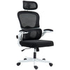 Ergonomic Mesh Office Chair with Lumbar Support - Black