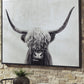 Pancho - Black / White - Wall Art