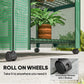 Portable Greenhouse, Outdoor Hot House Plant Flower Greenhouse with 4 Tier Shelves, PE Cover, Green