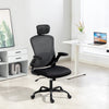 Ergonomic Office Chair, Mesh Desk Chair with Adjustable Headrest, Lumbar Support and Height, Flip-Up Armrests, Black