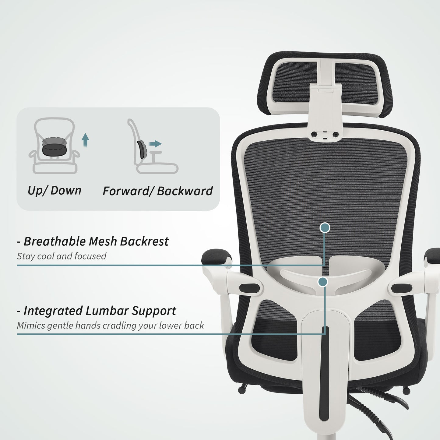 Ergonomic Office Chair, Mesh Reclining Desk Chair with Adjustable Lumbar Support, Headrest, Black