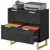 2-Drawer Lateral File Cabinet - High Gloss Black