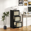 3 Drawer Filing Cabinet with Lock, Boho File Cabinet for A4 Letter Size Files with Decorative Rattan Accents, Black
