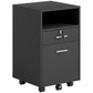 Small Filing Cabinet with 2 Drawers, Lockable Home Office Storage Cabinets on Wheels for A4, Letter Size, Black