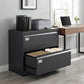 Lateral Filing Cabinet with 2 Drawers, Lockable Steel File Cabinet for A4/Letter/Legal Size Files, Black