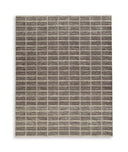8' x 10'
