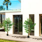 Set of 2 5ft Artificial Trees Ficus, Indoor Fake Plants with Pot, for Home Decor