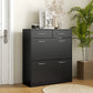 Narrow Shoe Storage with 2 Flip Drawers and Adjustable Shelves Shoe Cabinet Organizer for 12 Pairs of Shoes, Black
