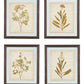 Dyani - Brown - Wall Art Set (Set of 4)