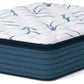 Limited Edition Plush PT 3.0 - Mattress