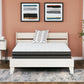 10 Inch Pocketed Hybrid - Mattress