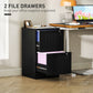 2 Drawer Filing Cabinet with Lock, Office Storage Cabinet with Adjustable Hanging Bars for A4 Letter Size Files, Black