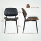 Dining Chairs Set of 2, Mid Century Modern Dining Room Chairs with Bentwood Back and Metal Legs for Kitchen Living Room