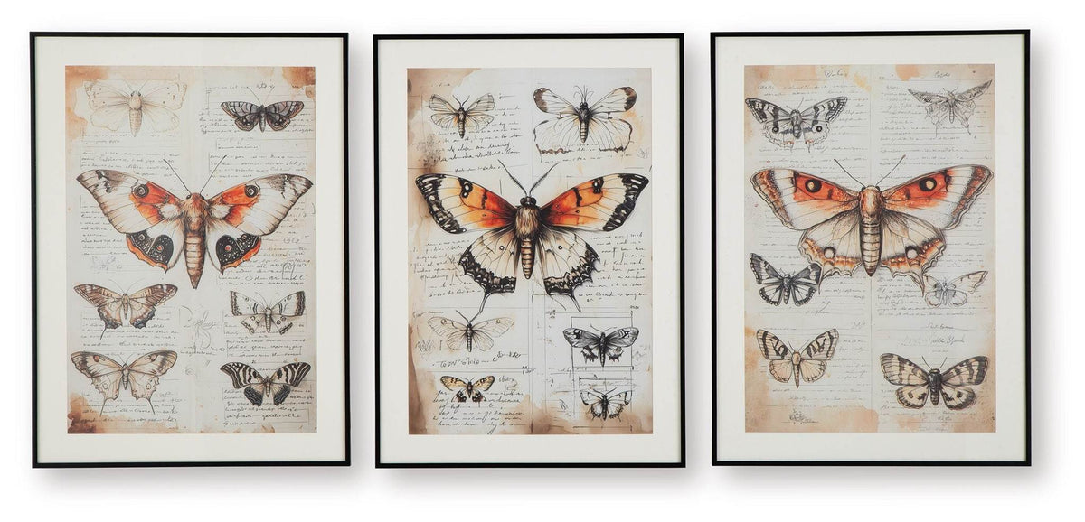 Jossletts - Wall Art Set (Set of 3) - Orange / Black / Ivory