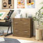 2 Drawer File Cabinet with Lock, Office Filing Cabinet, Hanging Bar for Letter Size, Home Office, Light Brown