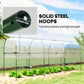 Tunnel Tomato Greenhouse with 4 Hoops and Top Tap, Pointed Bottom and Guy Ropes, 157.5" x 47.2" x 66.9", Clear