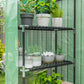 3-Tier Mini Greenhouse, Walk-in Greenhouse, Garden Hot House with 4 Shelves, Roll-Up Door and Weatherized Cover, 56" x 29" x 77", Dark Green