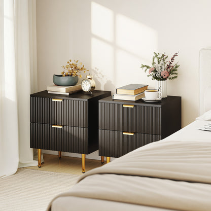 Nightstand Set of 2 with 2 Drawers and Metal Legs - Black