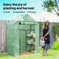 3-Tier Mini Greenhouse, Walk-in Greenhouse, Garden Hot House with 4 Shelves, Roll-Up Door and Weatherized Cover, 56" x 29" x 77", Dark Green