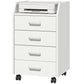 4-Drawer Vertical Mobile Filing Cabinet, File Cabinet with Lockable Wheels for Home Office, White