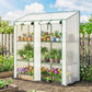 Portable Mini Greenhouse Green House with 3 Tier Shelves, Reinforced PE Cover, Roll-up Doors, 56.3"x18.1"x59.4", White