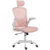Ergonomic Mesh Office Chair with Lumbar Support
