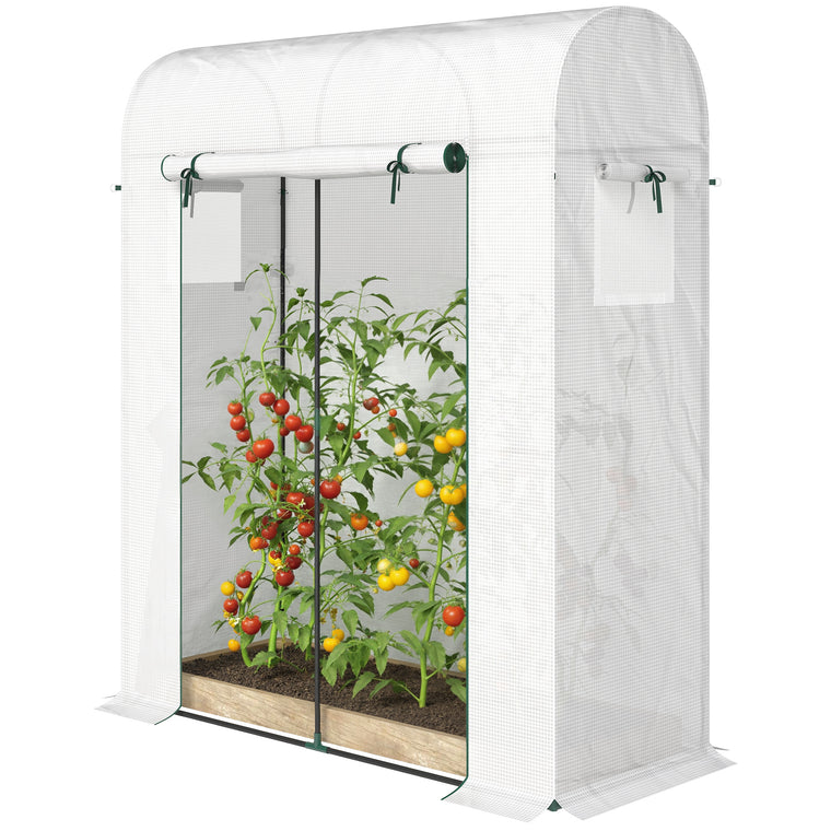 6' x 2' x 6.6' Portable Greenhouse with Roll-Up Door and Window