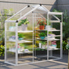 6.3' x 2.3' x 6.1' Polycarbonate Greenhouse with 3-Tier Shelves