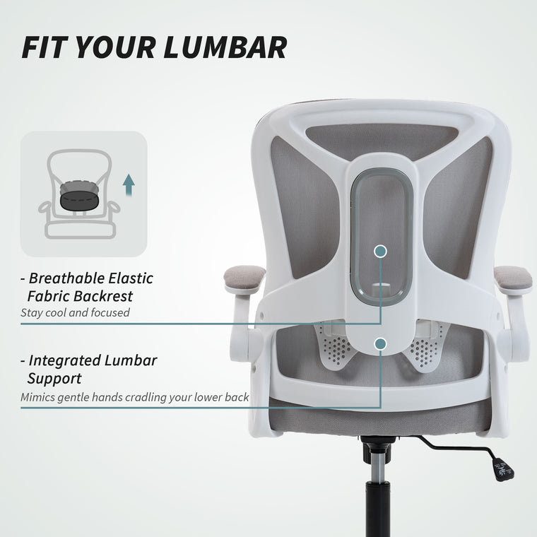 Ergonomic Office Chair with Adjustable Lumbar Support