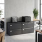 Lateral Filing Cabinet with 2 Drawers, Lockable Steel File Cabinet for A4/Letter/Legal Size Files, Black
