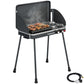 2-in-1 Camping Stove & Gas Griddle Combo, 20,000 BTU Portable Propane Grill with Detachable Legs, Wind Guards, Black