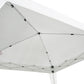 10' x 10' Arbor Barnum Folding Pop-up Garden Gazebo with Transport Bag-White