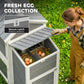 Large Chicken Coop, 134"L Wooden Chicken House with Run, Nesting Box, Slide-Out Tray, Waterproof Roof and Ramp