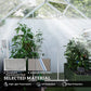 Walk-In Greenhouse, Polycarbonate Greenhouse with Sliding Door, Window, Aluminium Frame, Foundation, Silver