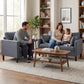 Accent Chair Upholstered Modern Armchair for Living Room with Thick Padded Seat and Armrests Dark Grey