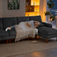 L-Shape Sofa, Modern Sectional Couch with Changeable Chaise Lounge, Pillows and Wooden Legs for Living Room, Dark Grey