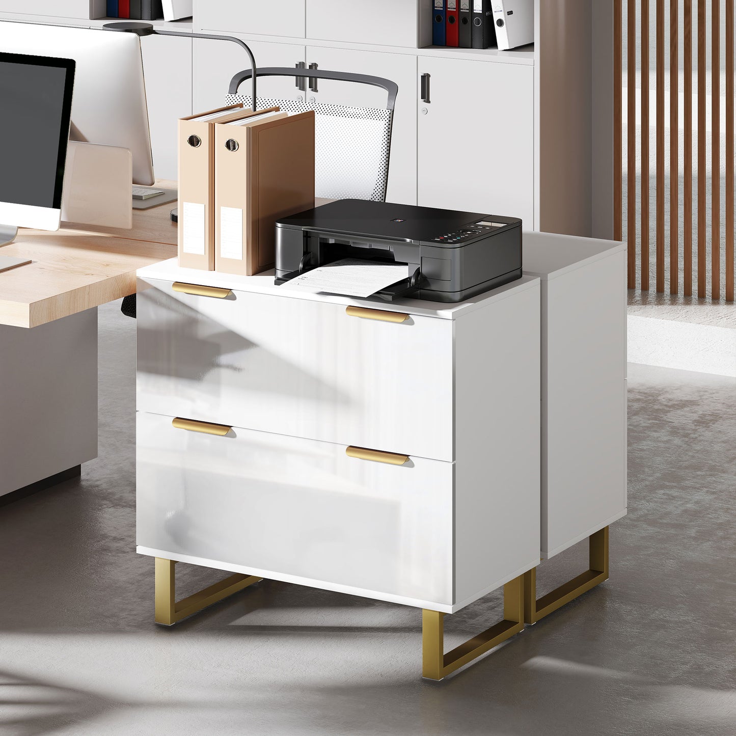 Lateral File Cabinet with 2 Drawers, Modern Filing Cabinet for Letter/A4/Legal Size Files, High Gloss White
