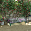 12 Pockets Raised Garden Bed with Greenhouse and Roll Up Windows for Vegetables, Flowers, 4' x 3' x 2', Natural Wood