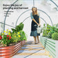 Polytunnel Greenhouse with Roll-up Door and Mesh Window, Walk-in Grow House Tent with Steel Frame, 3 x 2 x 2 m, Clear