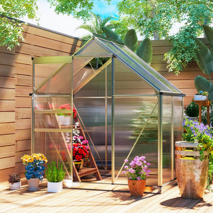 6' x 4' x 6.6' Clear Polycarbonate Greenhouse with Roof Vent