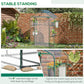 Walk-in Greenhouse with 4 Shelves, 56" x 29" x 77" Mini Greenhouse ,Roll-Up Door, Mesh Windows for Seedling, Flowers, Plant Growing, Clear